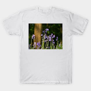 Bluebell Wood T-Shirt